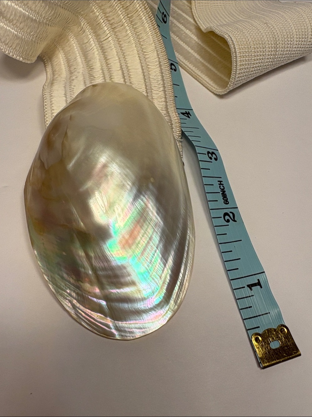 Vintage Abalone Pearlescent Shell Accent Stretch Waist Belt - Cream - Picture 6 of 11